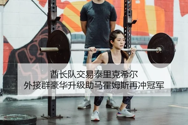 酋长队交易泰里克希尔 外接群豪华升级助马霍姆斯再冲冠军